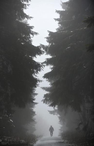 Una persona camina por un bosque situado en el macizo montañoso "Hohe Meissner", cerca de la localidad de Hessisch Lichtenau, en Hesse, Alemania (foto EFE/Uwe Zucchi)