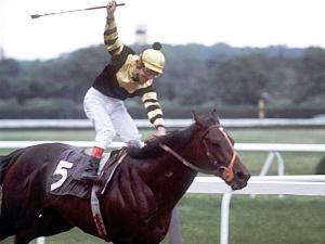 Seattle Slew