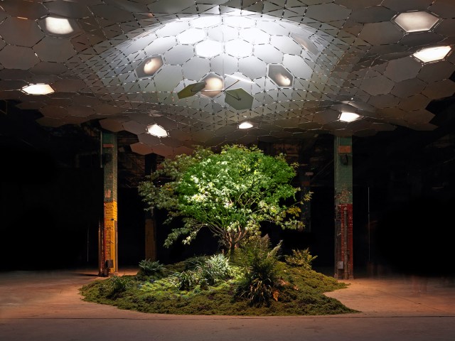 The Lowline in New York City