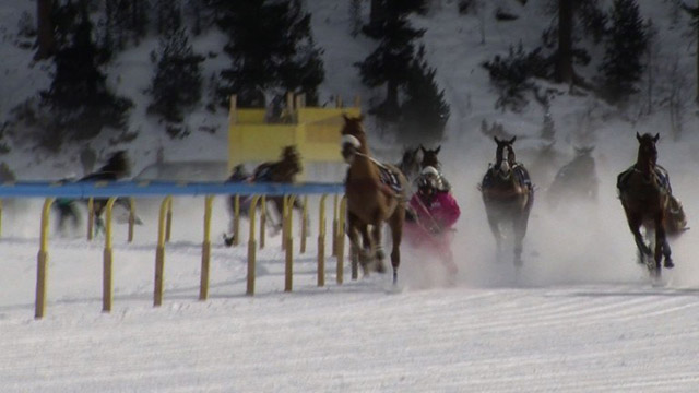 Caballos sobre hielo (Video)