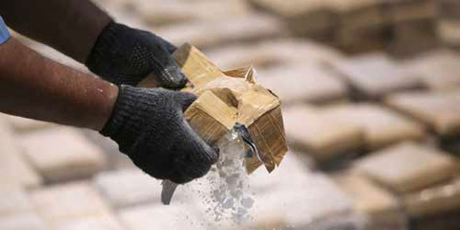 MP supervisó y coordinó la destrucción de 482 kilos de cocaína en Apure