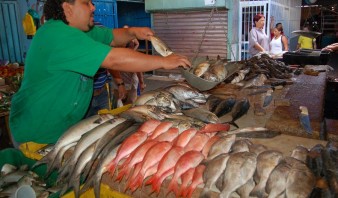 Pescaderos de El Tigre acusan bajas ventas por alto costo de productos