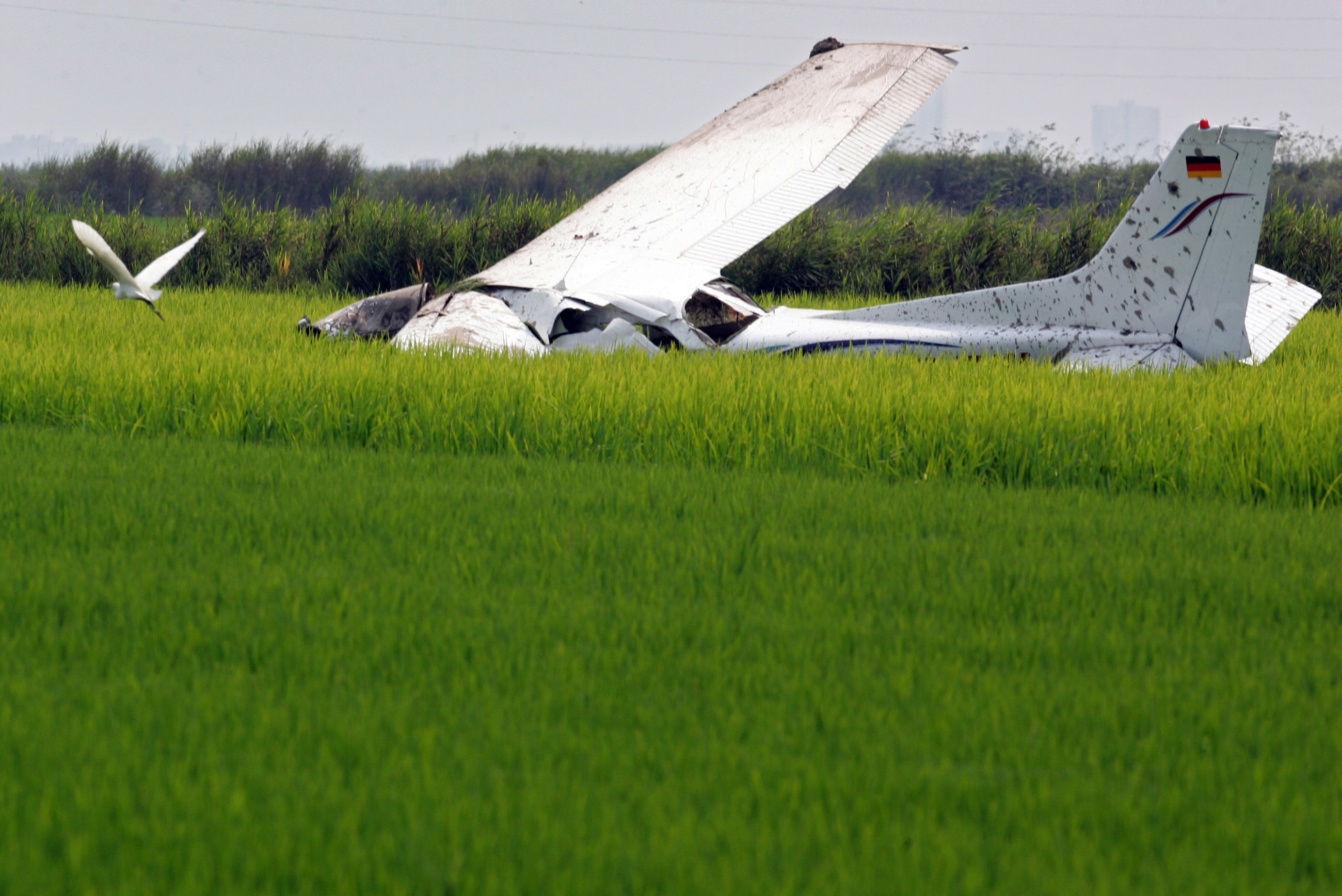 Hallan avioneta estrellada en Argentina con seis personas a bordo