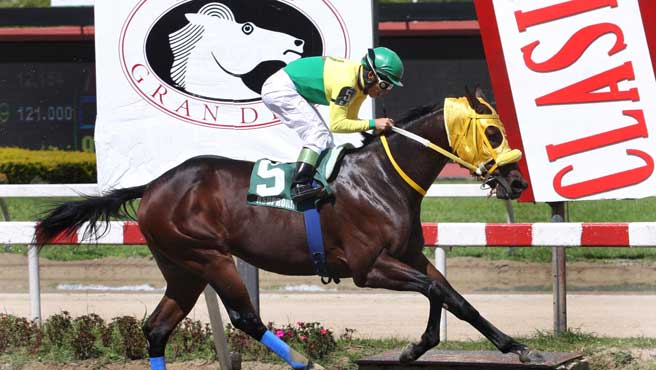 Murió el Campeón El de Chiné