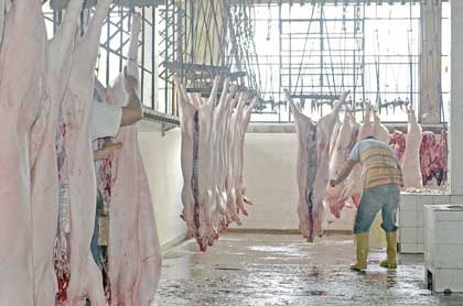 Ausencia de alimentos para aves, cerdos y ganado provoca pérdidas y cierres