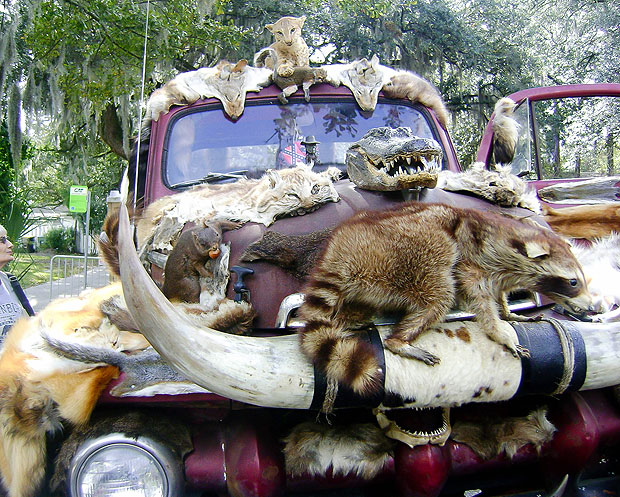 Taxista decora su auto con animales muertos (Fotos + WTF)
