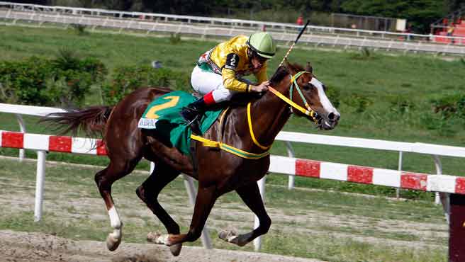 An Serafini galopó el Clásico Antonio José de Sucre