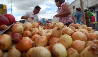 La cebolla ha subido de costo cuatro veces en menos de dos meses