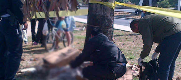 Hallan a hombre amarrado a un árbol y con un tiro en la cabeza en Carabobo