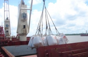 En Guyana denuncian irregularidades en exportaciones de arroz a Venezuela