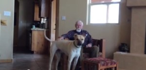 Un hombre con alzhéimer recupera el habla gracias a su perro (Video)