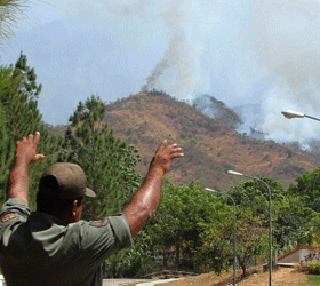 Controlado el incendio que se registró en el Henri Pittier