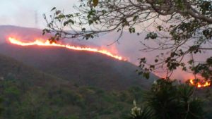 Voraz incendio en el cerro El Volcán (Fotos)