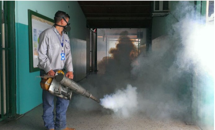 Desplegarán cuadrillas de fumigación en distintos sectores de Valencia