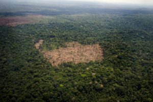 Colombia quiere reducir la deforestación amazónica a cero en 2020