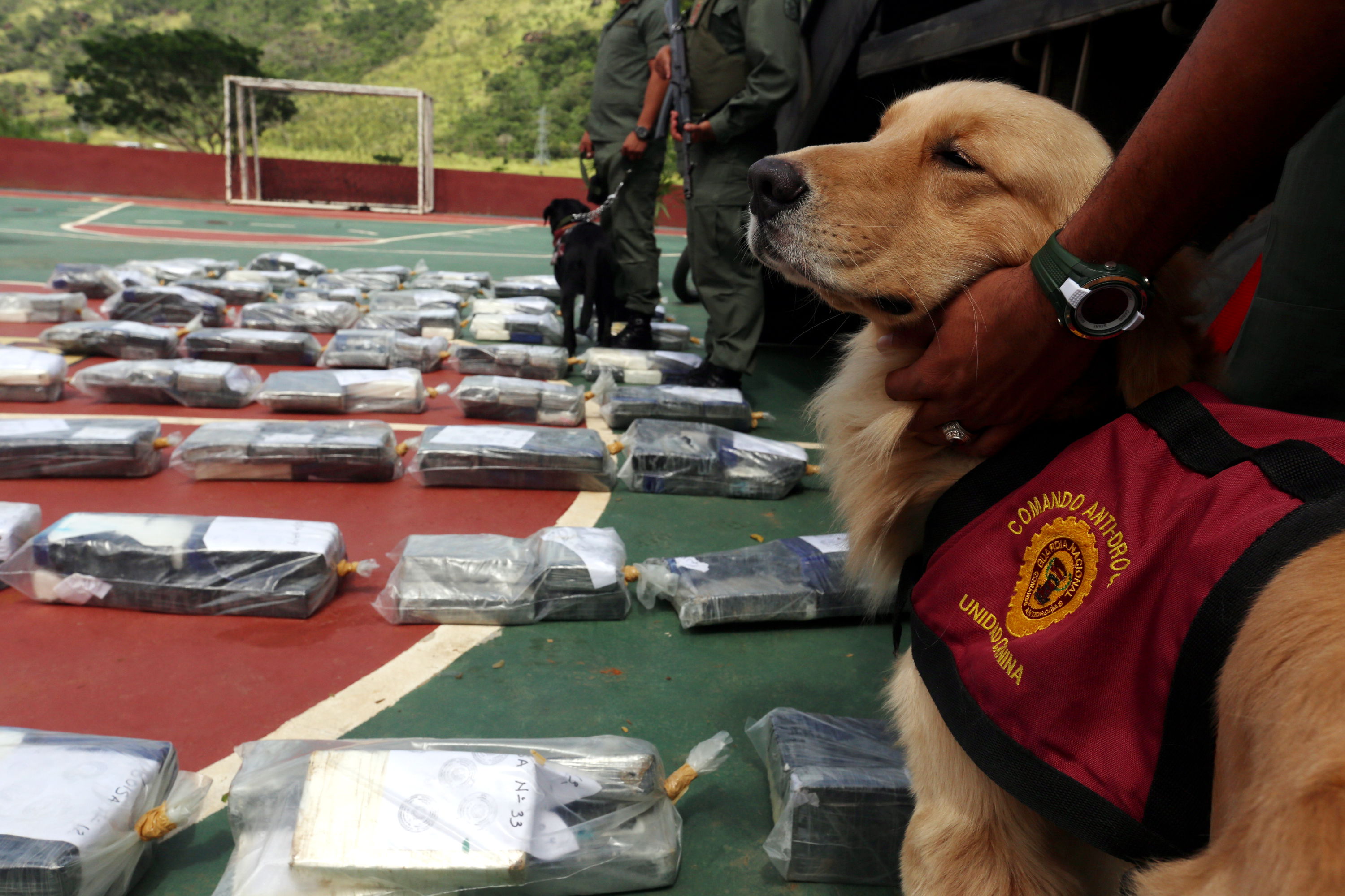 Detienen a dos individuos con 26 Kg de presunta marihuana en Falcón