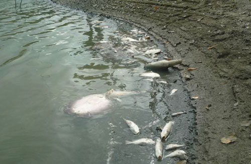 Embalse Camatagua carece de condiciones para suministro de agua