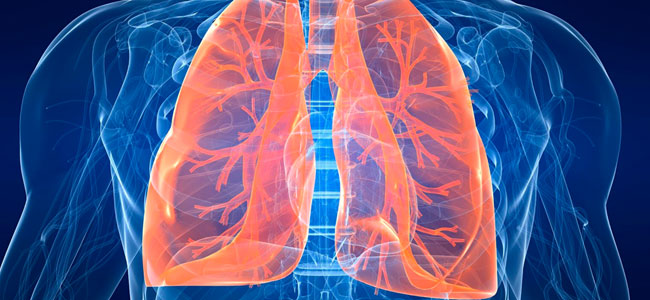 Descubren una función desconocida de los pulmones