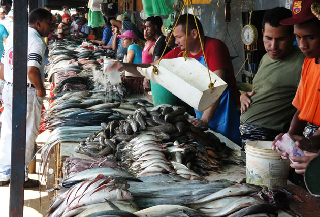 Consumidores optan por comprar sardina ante escasez y altos precios