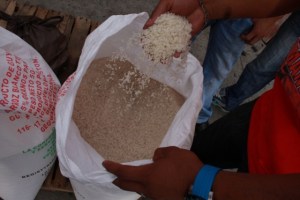 Asovema pide ajustar precio del arroz en Bs. 38,74
