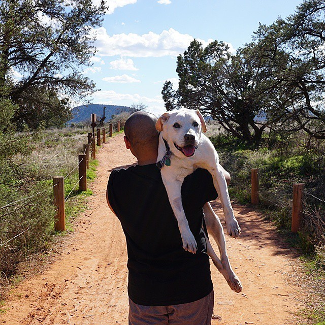 Pasea a su perro con enfermedad terminal por diferentes partes de EEUU (Foto + awww)