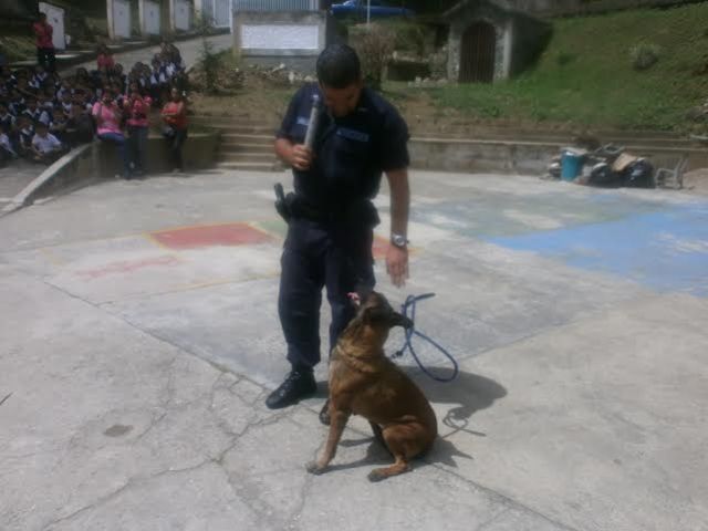 Brigada-Canina-de-Polimiranda-realizo-exhibicion-en-colegio-de-Los-Teques_49820