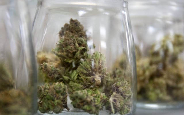 Promulgan leyes en California que regulan el negocio de la marihuana medicinal