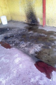 Lanzan bombas a sede de Primero Justicia en Guasdualito (Fotos)