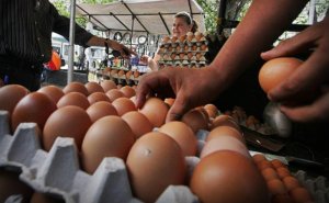Aumento de 115 bolívares diarios alcanza para un huevo
