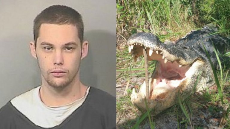 Se escapó de la policía, pero se lo comió un cocodrilo