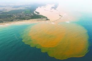 Turismo en Brasil afectado por nocivo lodo en sus playas