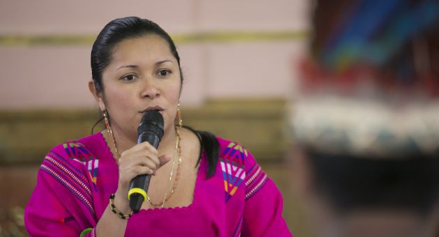 Minoría chavista pide al TSJ interpretar artículo sobre elección de diputados indígenas
