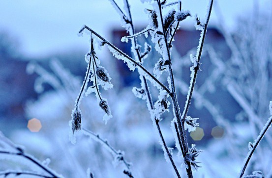 ¿WTF? Arabia Saudita registra su primera nevada en 85 años (Video + Fotos)