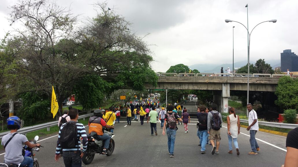 Los peculiares “caminos verdes” que abrieron los opositores para llegar al CNE (Videos)