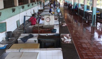 Ventas de pescado cayeron más de 90% en mercado municipal de Puerto Píritu