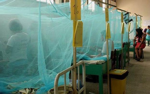 Denuncian casos autóctonos de malaria en Nueva Esparta
