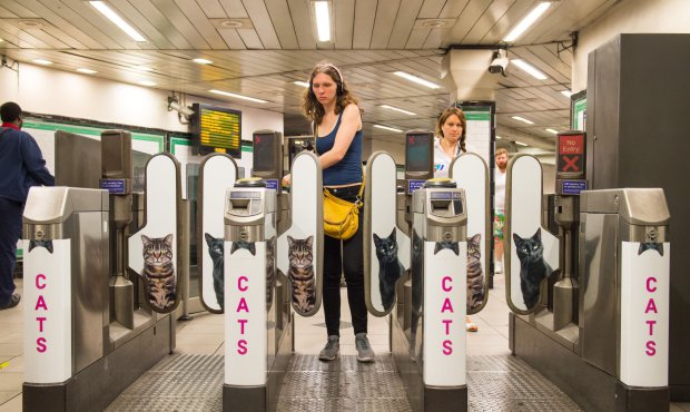 A passenger passes some of over 60 adverts in Clapham Common underground station, London, which have been replaced with pictures of cats as part of the ëCitizens Advertising Takeover Service, which aims to create a peaceful, unbranded space in the heart of London, free from commercial advertising. PRESS ASSOCIATION Photo. The posters feature cats from Battersea Dogs & Cats home and Cats Protection, as well as cats sent in by members of the public. Picture date: Monday September 12, 2016. Photo credit should read: Dominic Lipinski/PA Wire