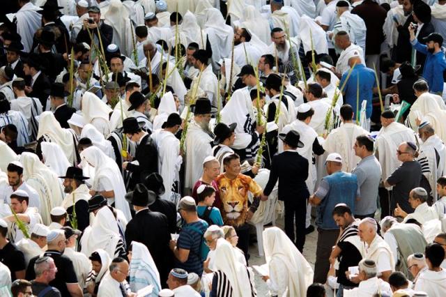 Miles de judíos ultraortodoxos rezan en el Muro de las Lamentaciones en Jerusalén, Israel, durante una de las celebraciones de la fiesta judía del "Sucot" (foto EFE / Abir Sultan)