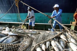 Sucre: Organizaciones del sector pesquero se unen contra privatización de Pescalba