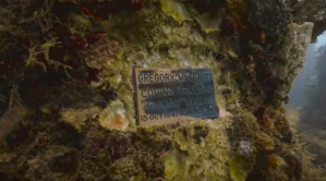 ¿WTF? Conoce este cementerio bajo el agua en Miami (Video)