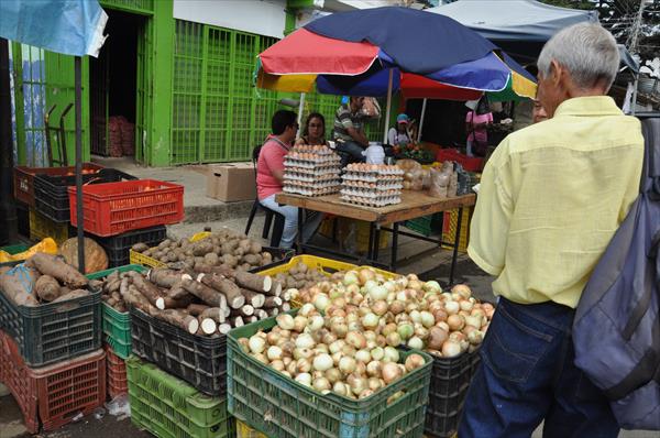 La cebolla sube de precio ante cercanía de la Navidad