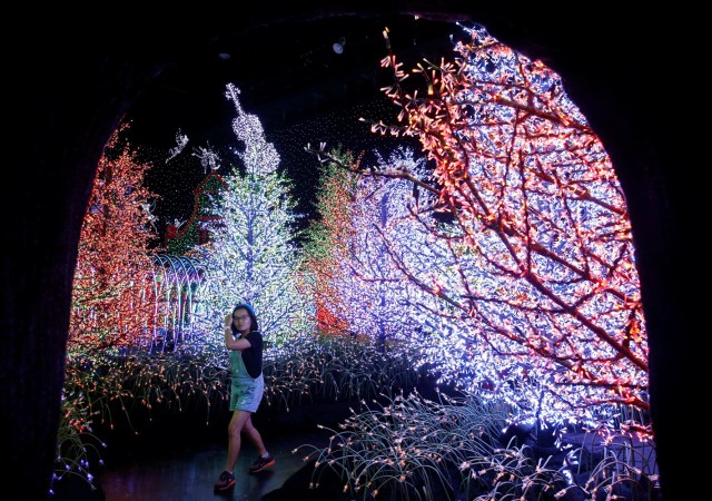 A woman tours a Christmas attraction featuring a display of more than 800,000 light bulbs in Universal Studios Singapore December 12, 2016. REUTERS/Edgar Su