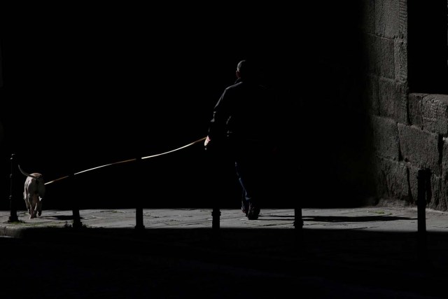 A man with a dog walks in Madrid, Spain, January 16, 2017. REUTERS/Juan Medina