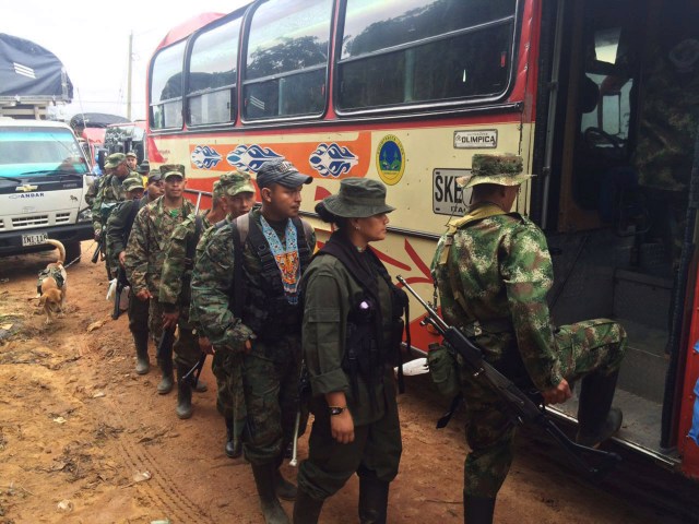 MIEMBROS DE LAS FARC CONTINÚAN DESPLAZAMIENTO A ZONAS VEREDALES