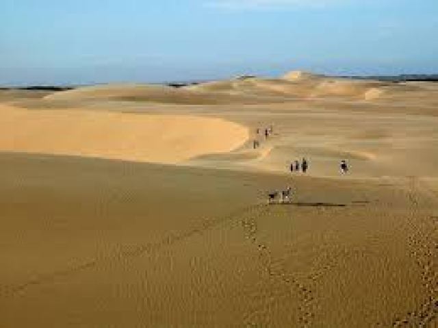 Medanos de coro