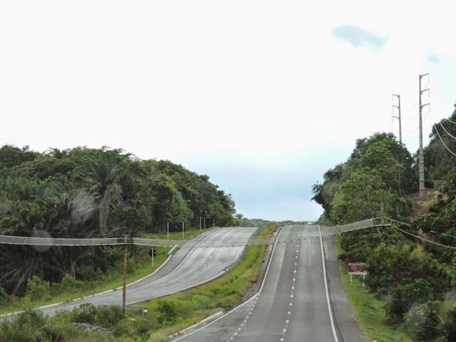 16. Puente para monos en Bahia, Brazil