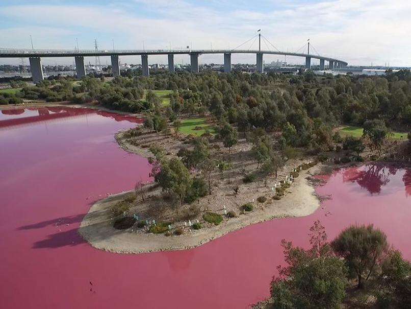 El rosado brillante de un lago en Australia (fotos)