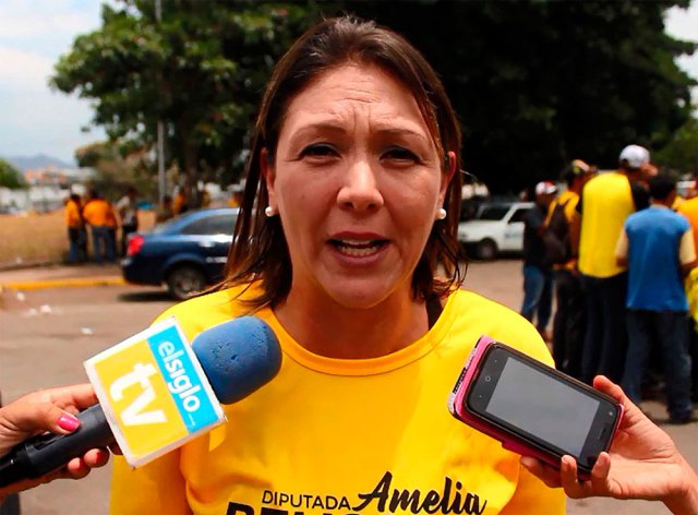 Amelia Belisario: Las madres venezolanas rechazamos la violencia y exigimos respeto a la Constitución