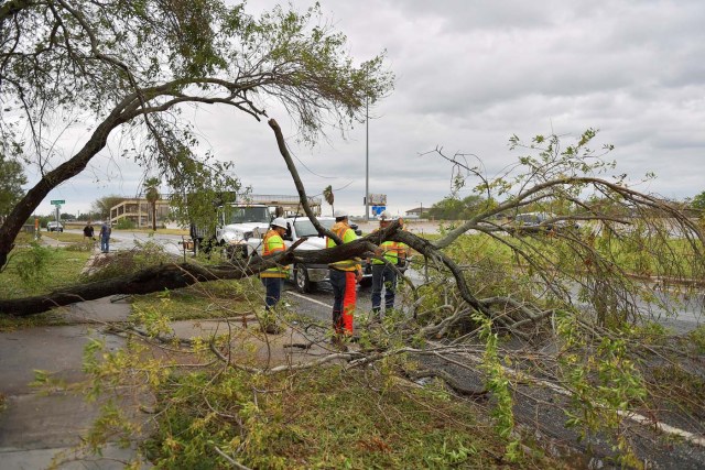 An emergency crew removes a fallen tree uprooted by winds from Hurricane Harvey blocking a roadway in Corpus Christie, Texas, U.S., August 26, 2017.  REUTERS/Mohammad Khursheed?