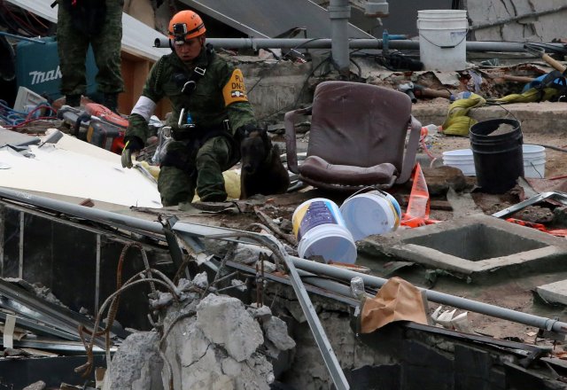 Un soldado mexicano y su perro buscan sobrevivientes en los escombros de un edificio derrumbado después de un terremoto en Ciudad de México, México, 23 de septiembre de 2017. REUTERS / Henry Romero